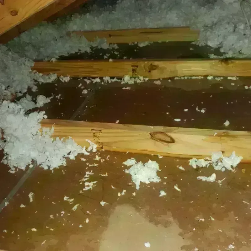 Attic Water Damage in Lincoln, ND