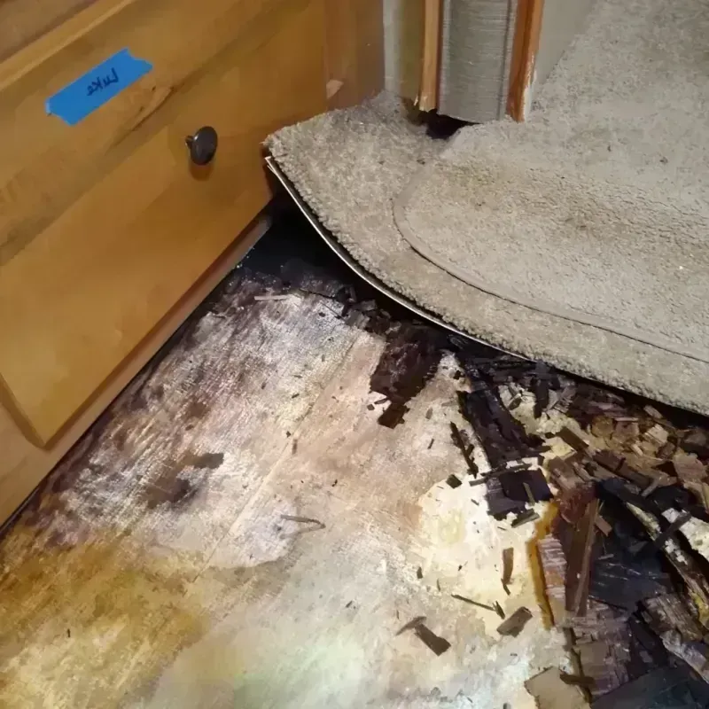 Wood Floor Water Damage in Lincoln, ND